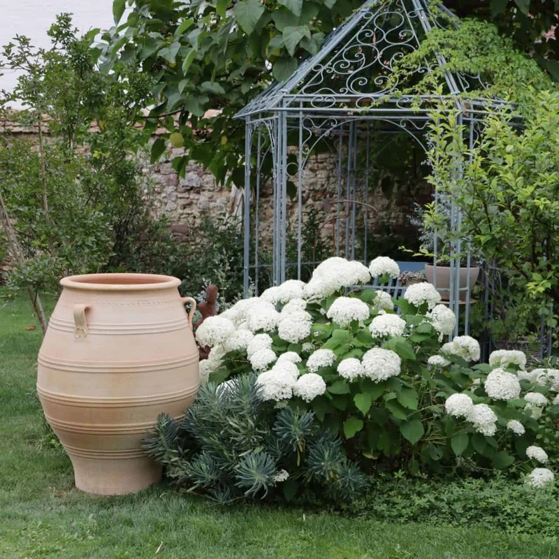 terracotta Amphore "Cassia" H=60 cm