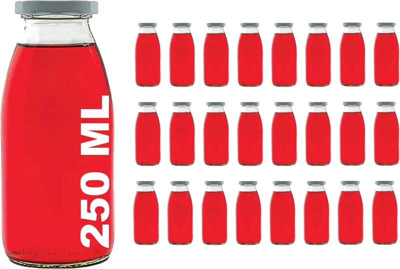 24 x 250 ml Leere Glasflaschen MIL Milchflaschen kleine Saftflasche mit Schraubverschluss 0,25 Liter l von slkfactory (24 Stück)