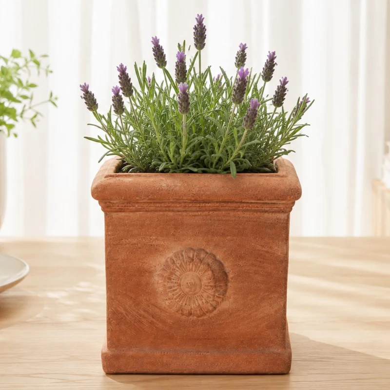 Quadratischer Terracotta-Kübel „Rosone“