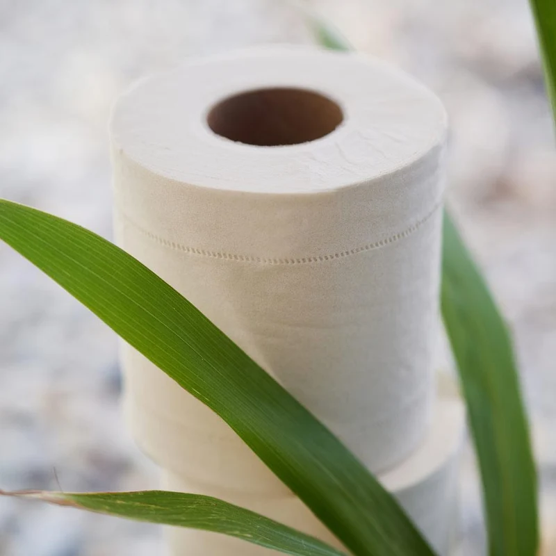 Bambus-Toilettenpapier ohne Plastik – weich wie gewohnt