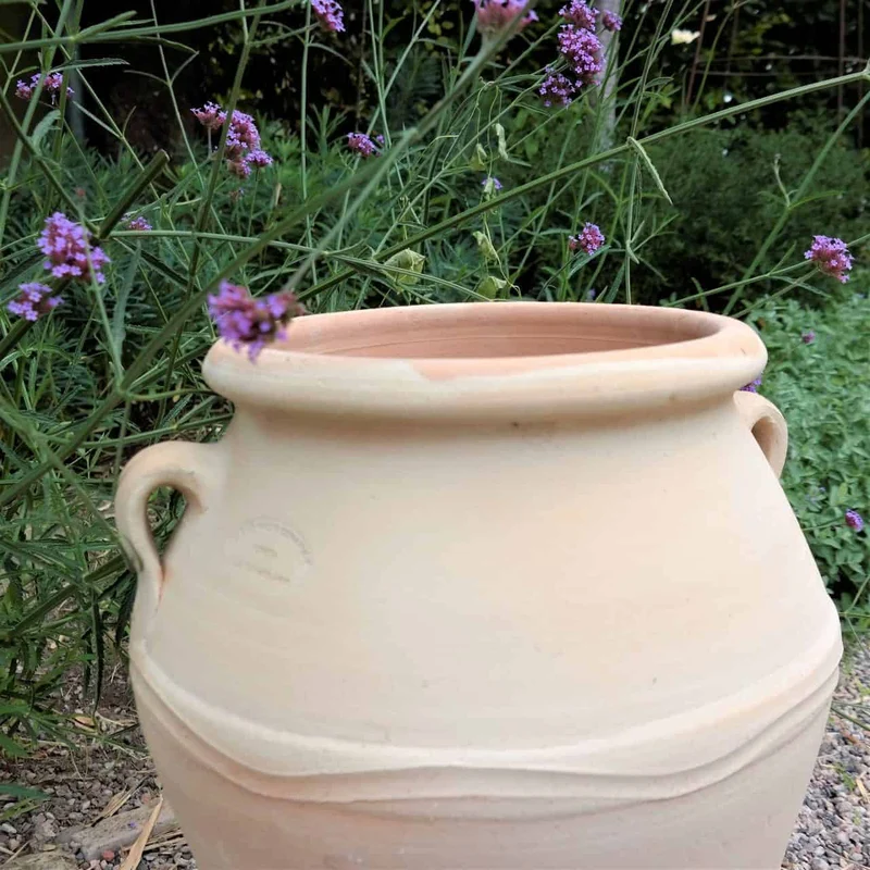 frostfeste Terracotta Amphore “Olea” H= 50 cm