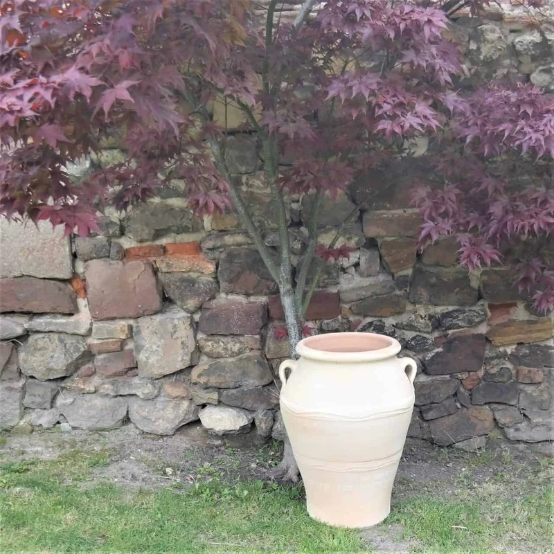 frostfeste Terracotta Amphore “Olea” H= 50 cm