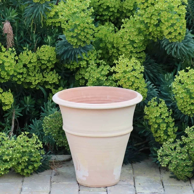 winterhartes Terracotta Pflanzgefäß "Yucca", H=35 cm