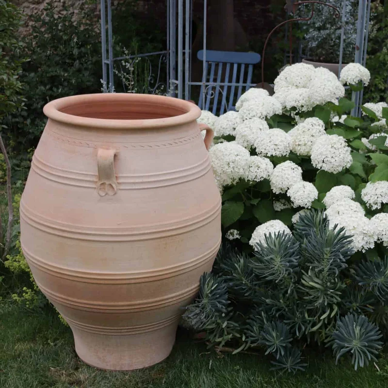 XXL terrakotta Amphore "Thymus", H=100 cm