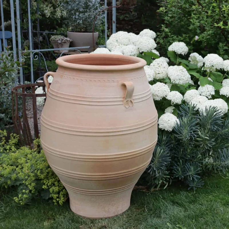 XXL terrakotta Amphore "Thymus", H=100 cm