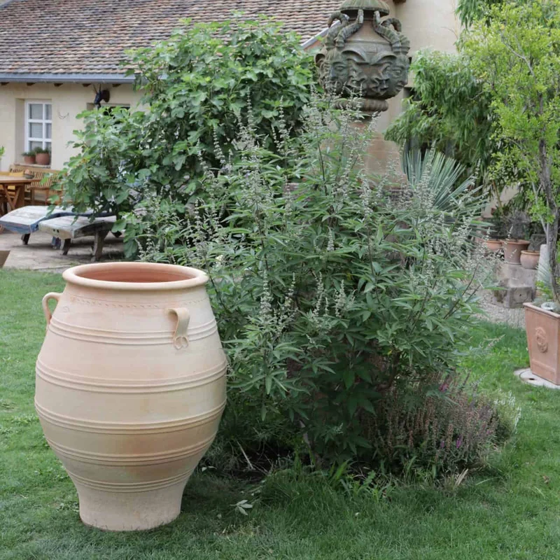 XXL terrakotta Amphore "Thymus", H=100 cm