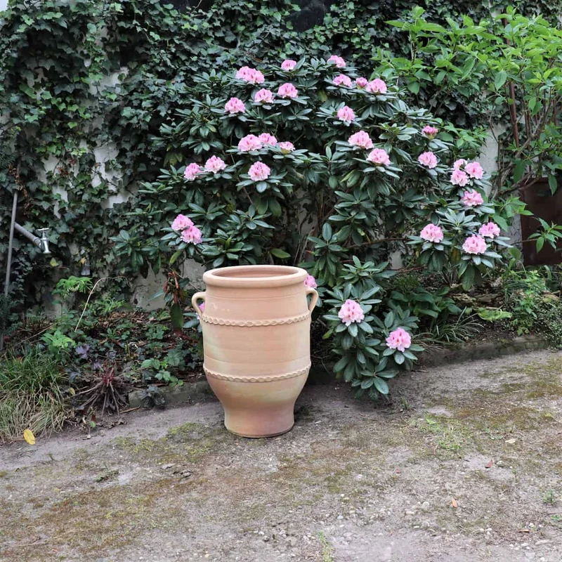 frostfeste Terrakotta Amphore "Thymus 2" H=50cm