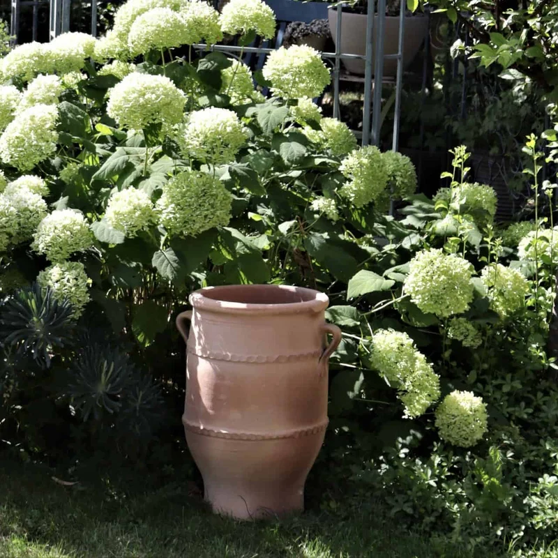 frostfeste Terrakotta Amphore "Thymus 2" H=50cm