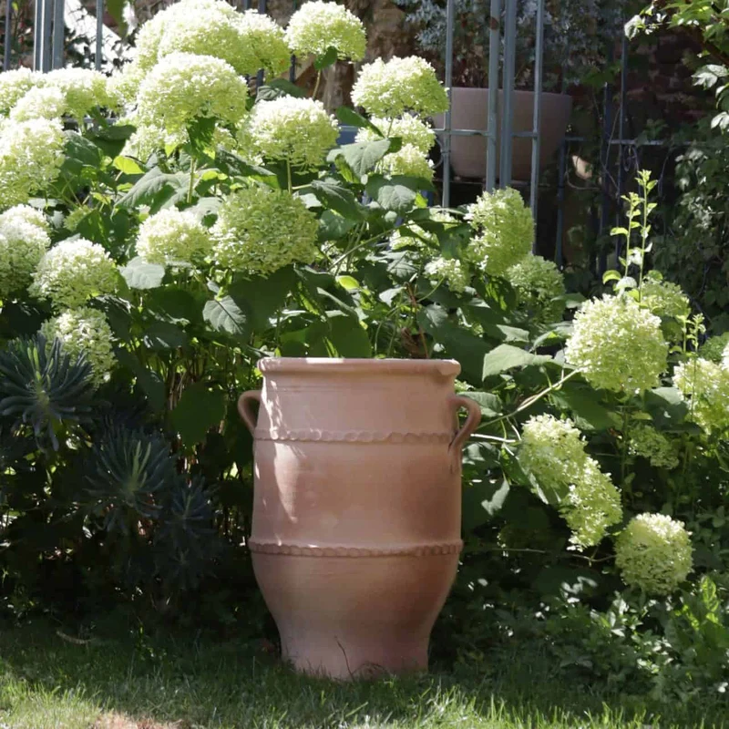 frostfeste Terrakotta Amphore "Thymus 2" H=50cm