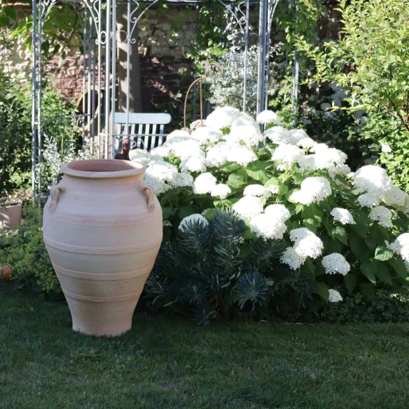 frostfeste Terracotta Amphore “Olea” H= 90 cm