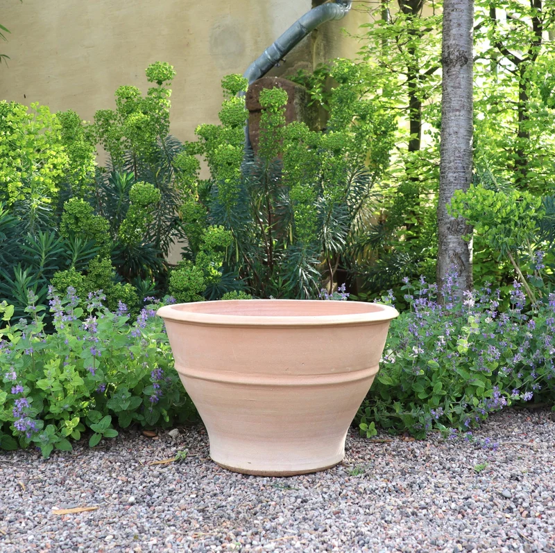 Terracotta Ton Pflanzgefäß "Buxus", 50 cm