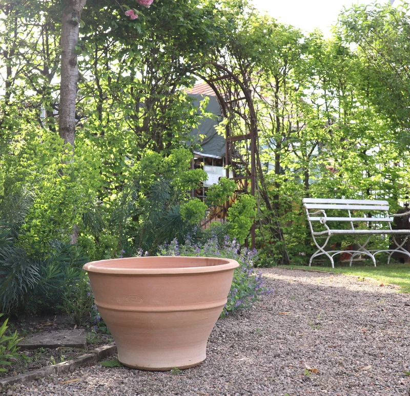 Terracotta Ton Pflanzgefäß "Buxus", 50 cm