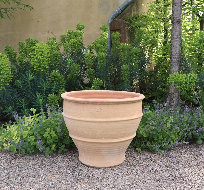 winterhartes Pflanzgefäß "Buxus", 60 cm
