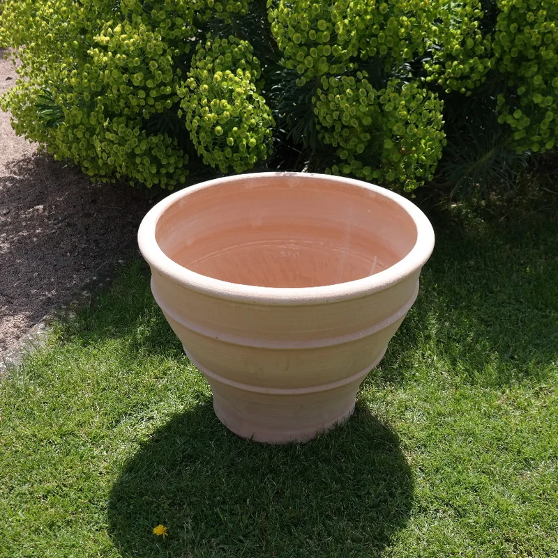 winterhartes Pflanzgefäß "Buxus", 60 cm