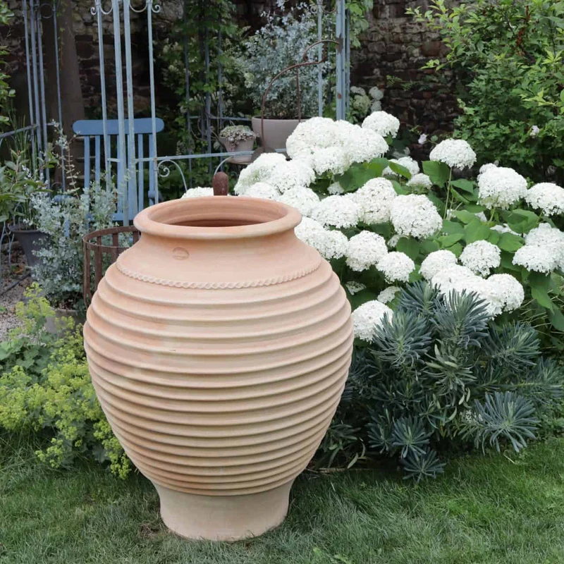 frostfeste Terracotta Amphore „Agave“, H=100cm