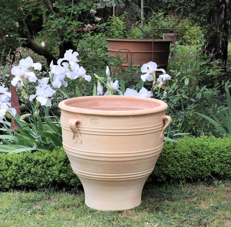 Terracotta Pflanzkübel "Rosa", H=60cm