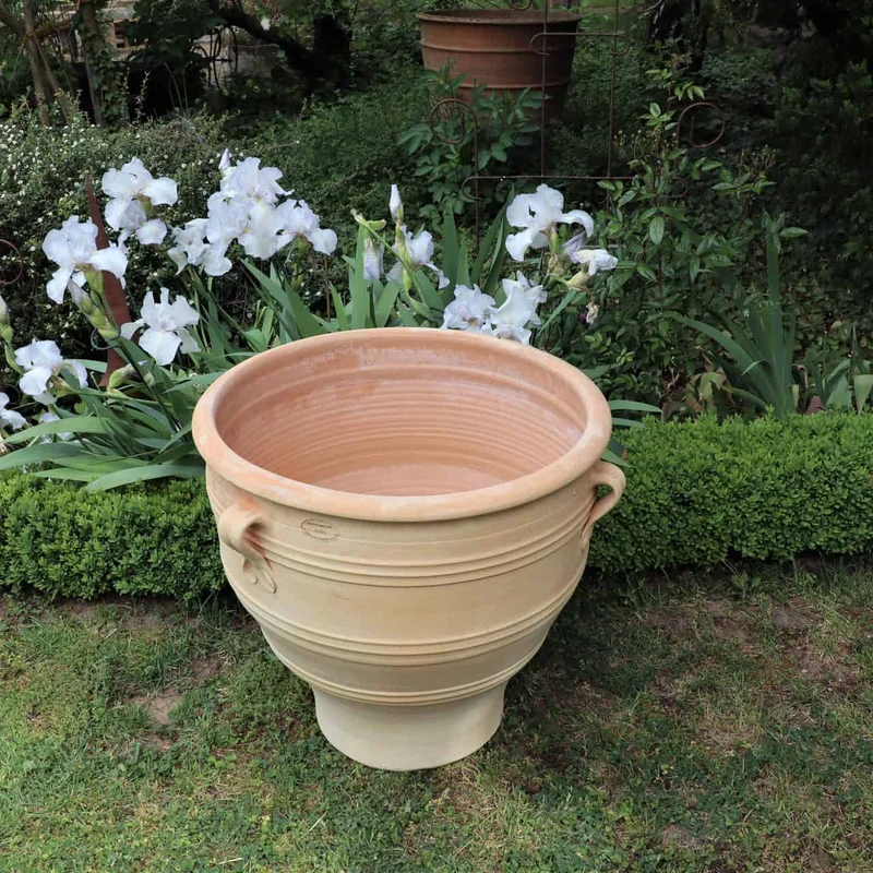 Terracotta Pflanzkübel "Rosa", H=60cm