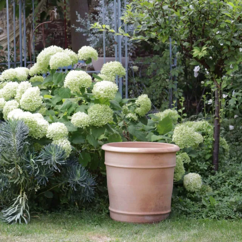 Übertopf Terracotta "Canna", H=50 cm
