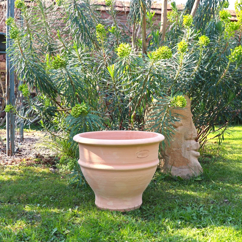 frostfestes Ton Pflanzgefäß "Buxus", 40 cm