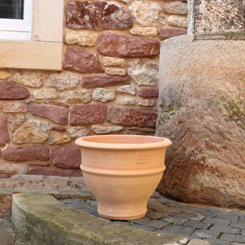 frostfestes Ton Pflanzgefäß "Buxus", 40 cm