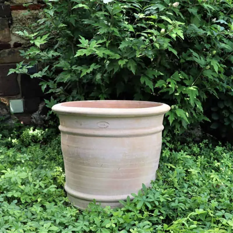 Terracotta Blumentopf "Canna", H=40 cm