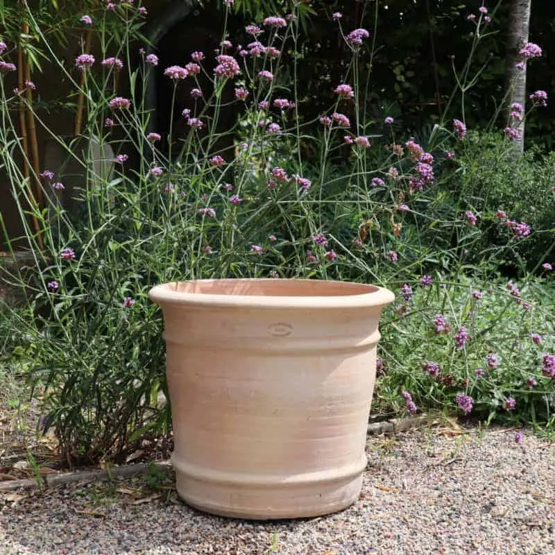 Terracotta Blumentopf "Canna", H=40 cm