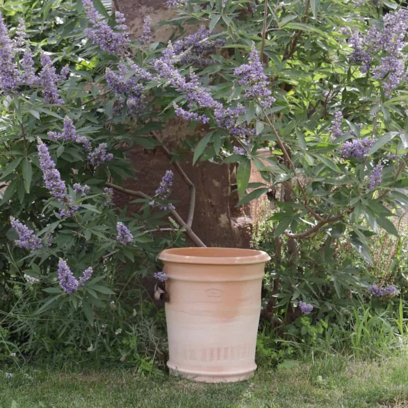 Terracotta Pflanzkübel "Canna" H=33 cm