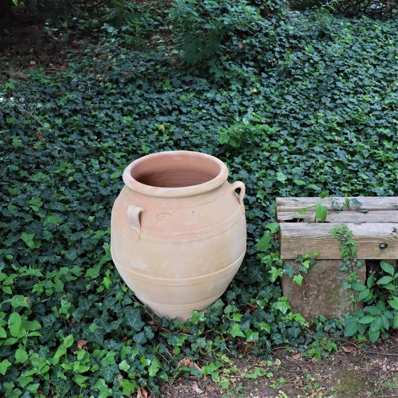 terracotta Amphore "Cassia" H=60 cm