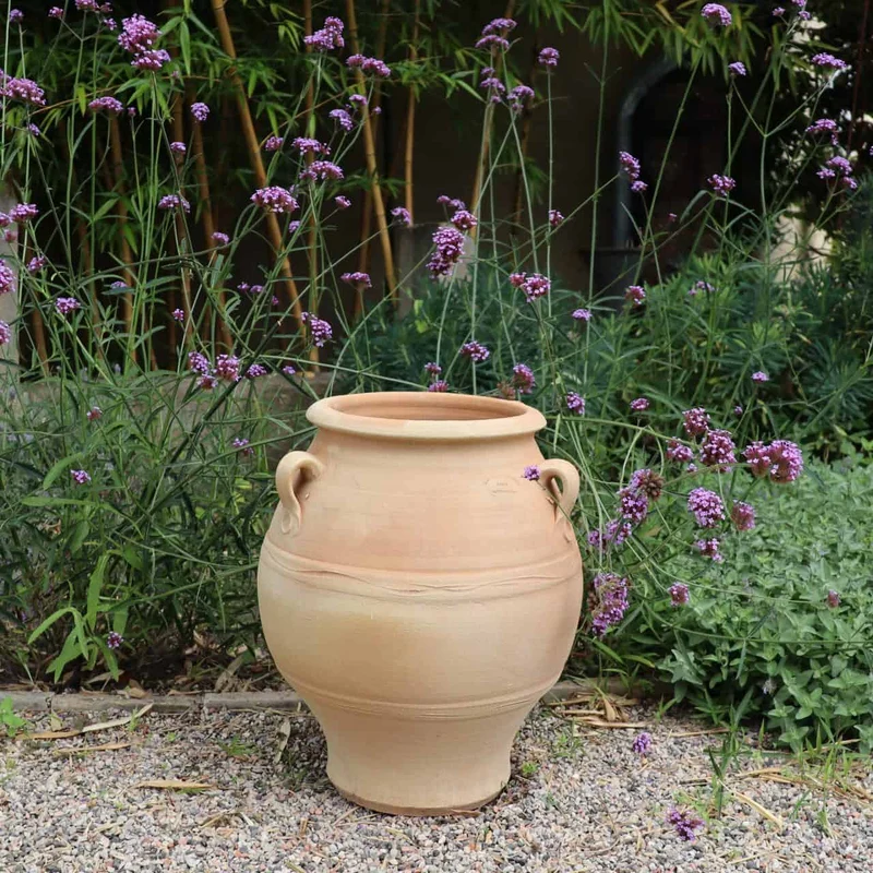 griechische Amphore "Cassia" H=50 cm