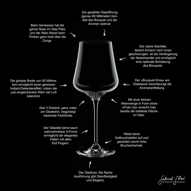 Gabriel Glas StandArt Universal-Weinglas mit Poliertuch