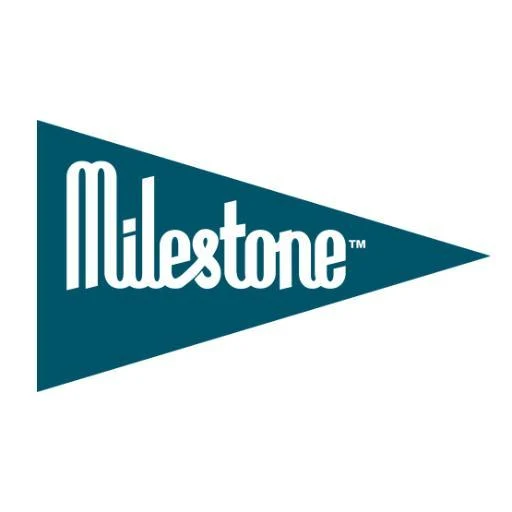 Milestones Activity Cards Babycard Babykarten 30 Stück