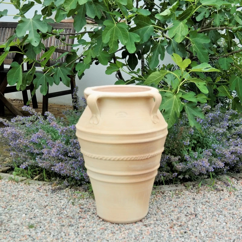 frostfeste terracotta Amphore "Datura", H=50 cm