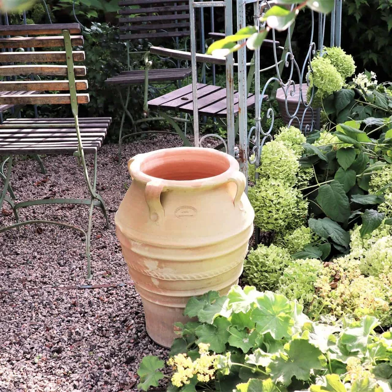 frostfeste terracotta Amphore "Datura", H=50 cm