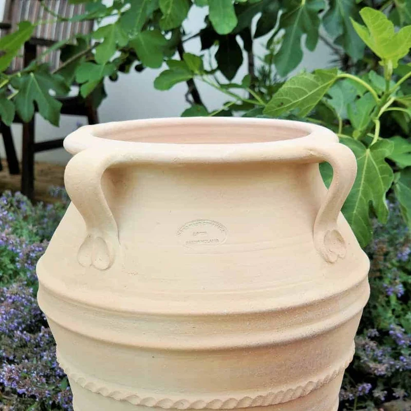 frostfeste terracotta Amphore "Datura", H=50 cm
