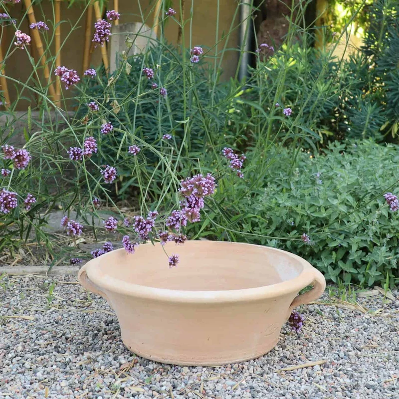 Terracotta Pflanzschale "Crocus", B=40 cm