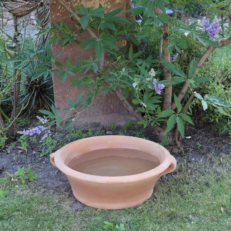 Terracotta Pflanzschale "Crocus", B=40 cm
