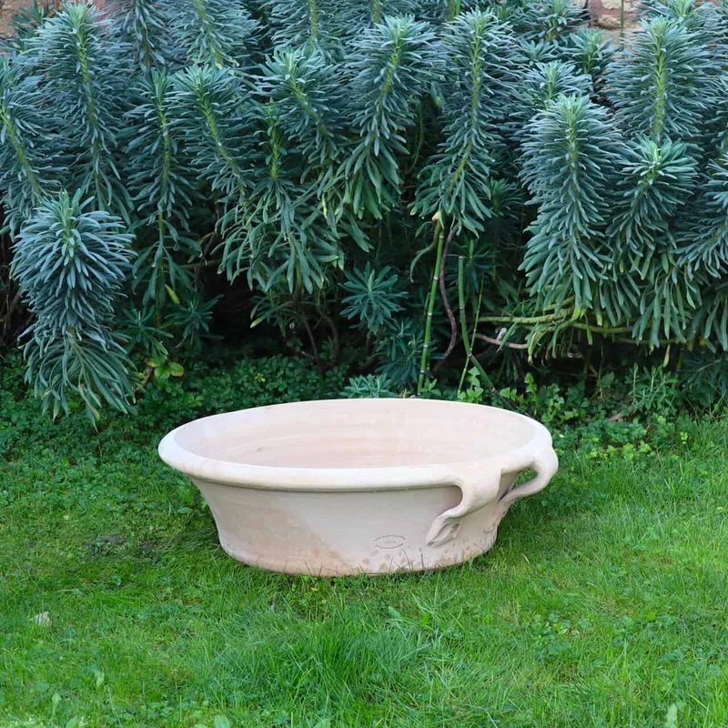 Terracotta Pflanzschale "Crocus", B=60 cm