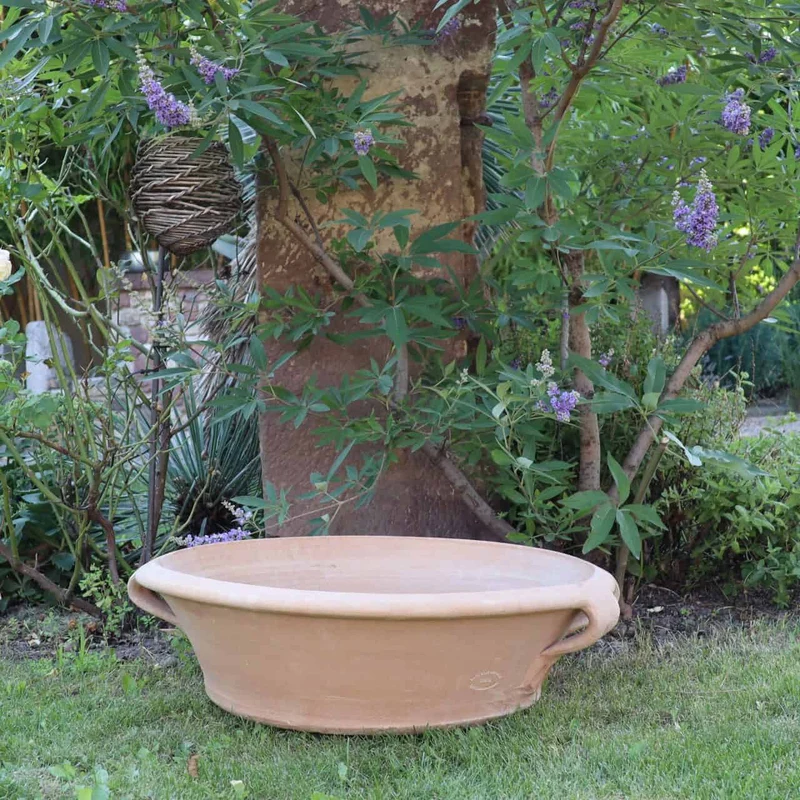 Terracotta Pflanzschale "Crocus", B=60 cm