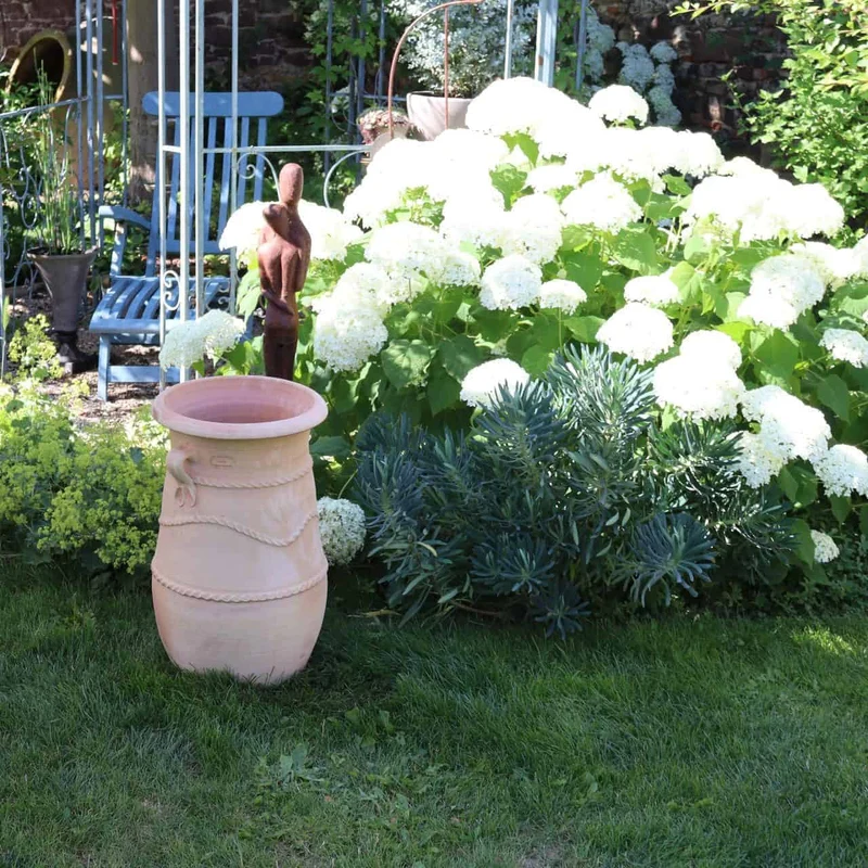 griechische schmale terracotta Amphore "Cistus" H=60 cm