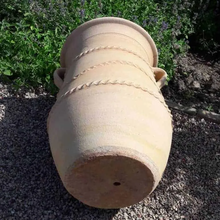 griechische schmale terracotta Amphore "Cistus" H=60 cm