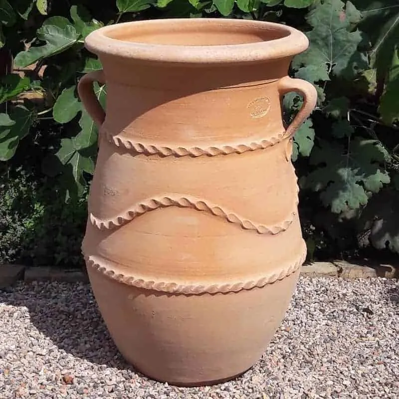 griechische schmale terracotta Amphore "Cistus" H=60 cm