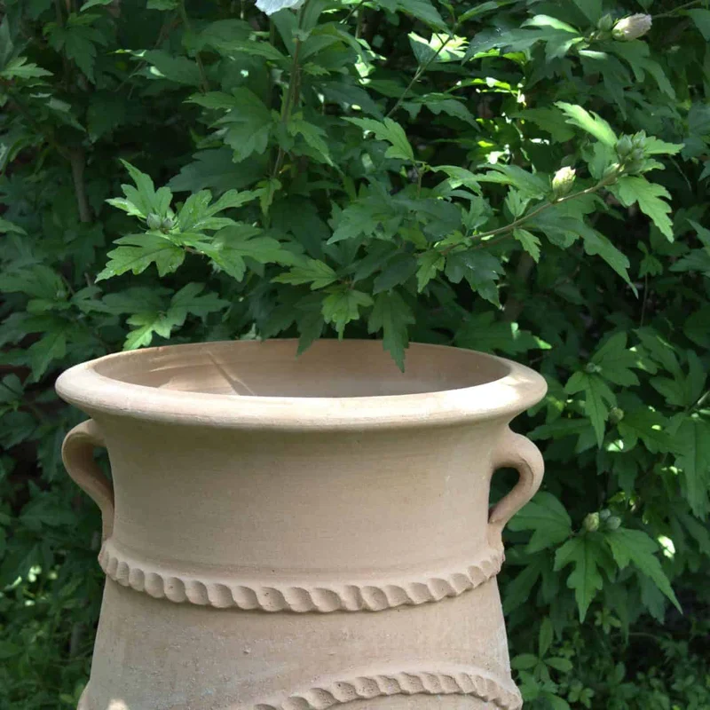 griechische schmale terracotta Amphore "Cistus" H=60 cm