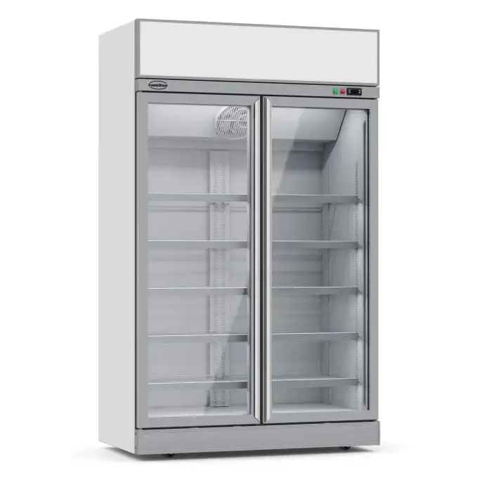 Kühlschrank mit 2 Glastüren - 1000 Liter - 1253x710x2092 mm
