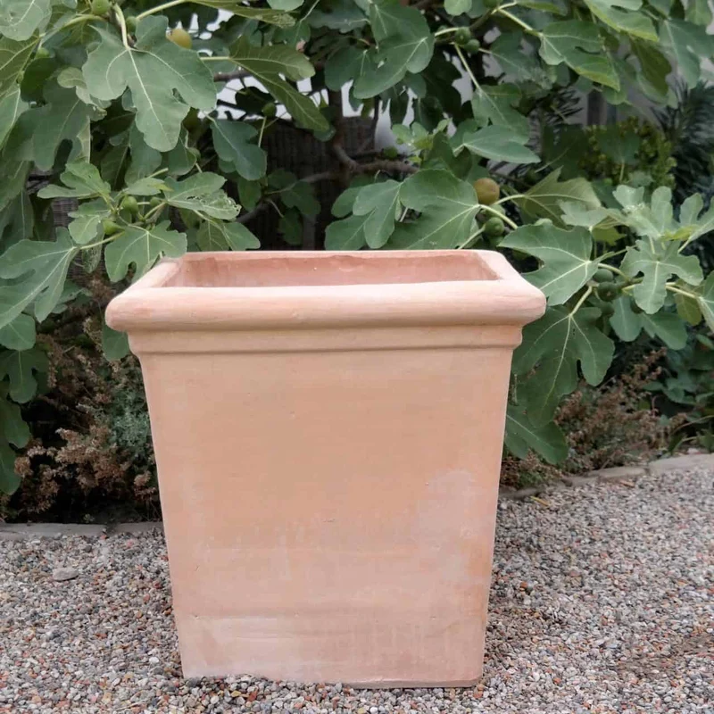 Blumenkasten eckig Pflanzkübel aus Terracotta "Laurus" H=50 cm