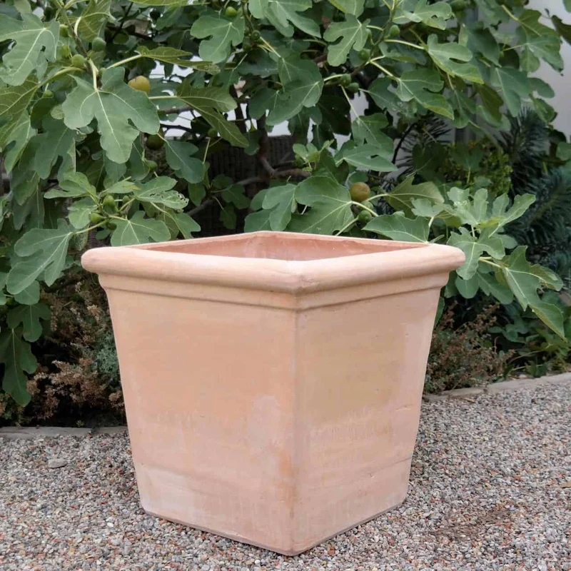 Blumenkasten eckig Pflanzkübel aus Terracotta "Laurus" H=50 cm