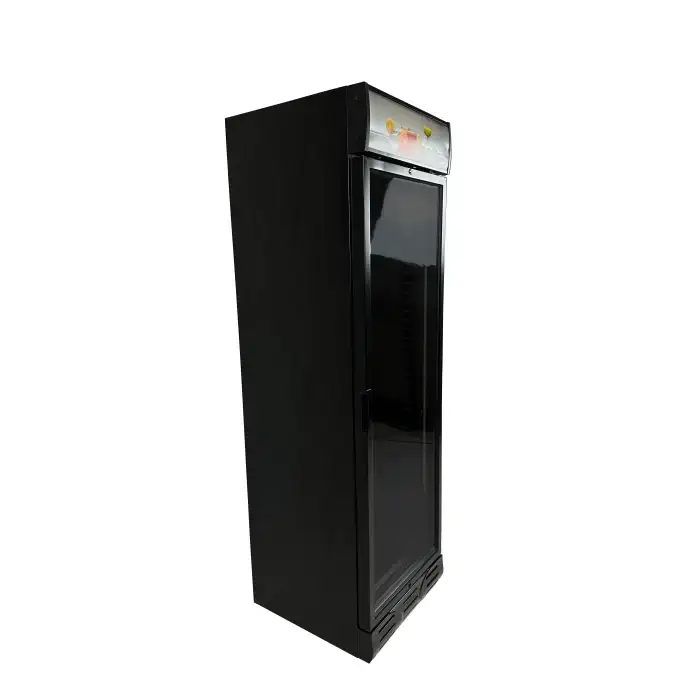 Getränkekühlschrank 1 Tür - 382 Liter - 595x620x2000 mm