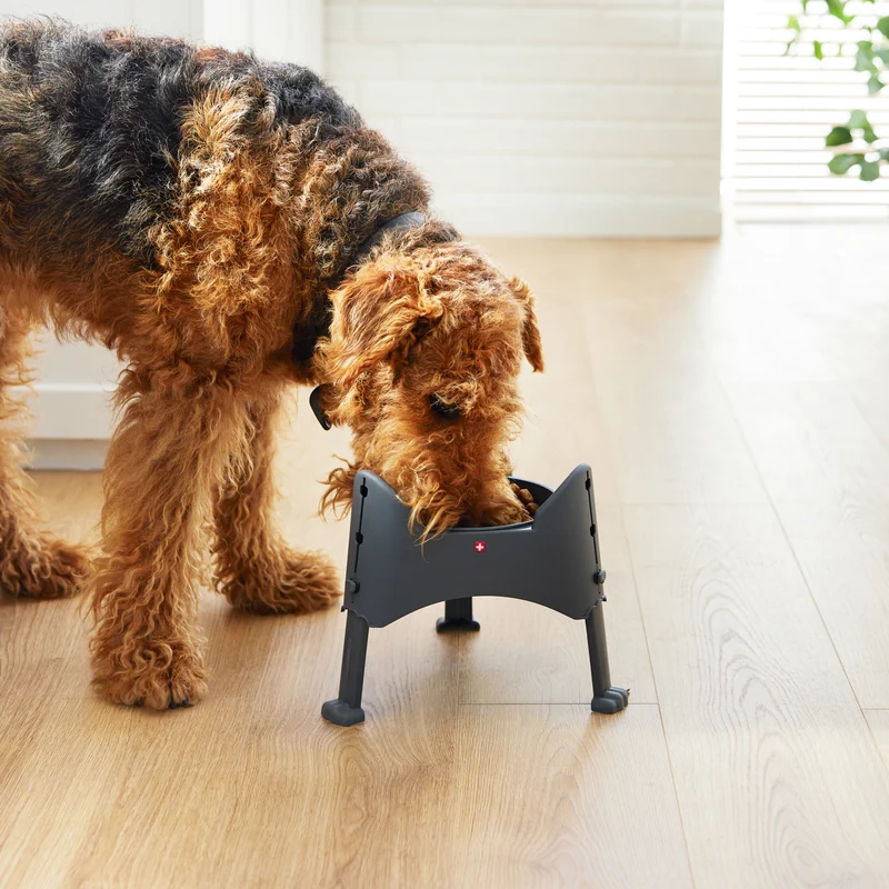 Sammy Verstellbarer Futternapf 1,02 l
