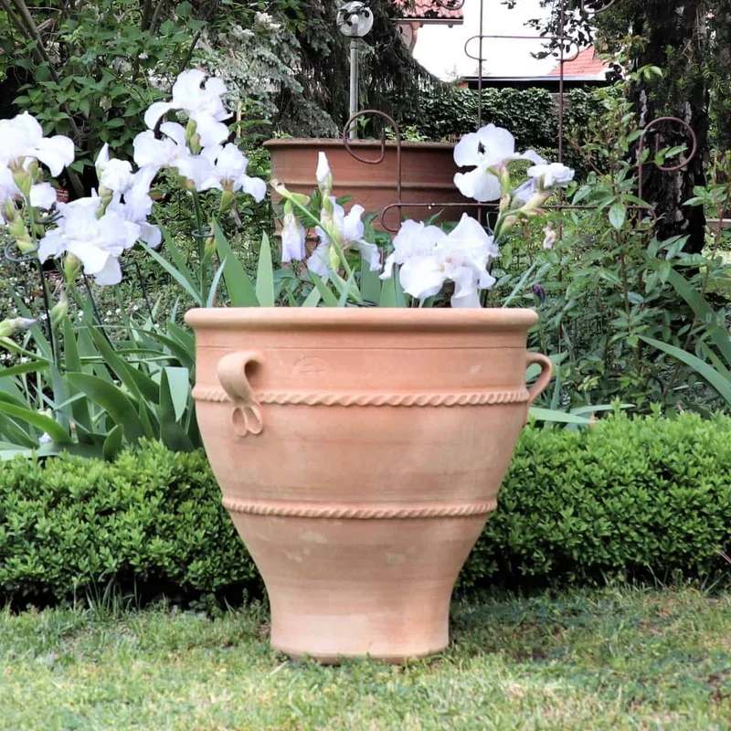 Terracotta Pflanzkübel "Rosa 2", H=50cm
