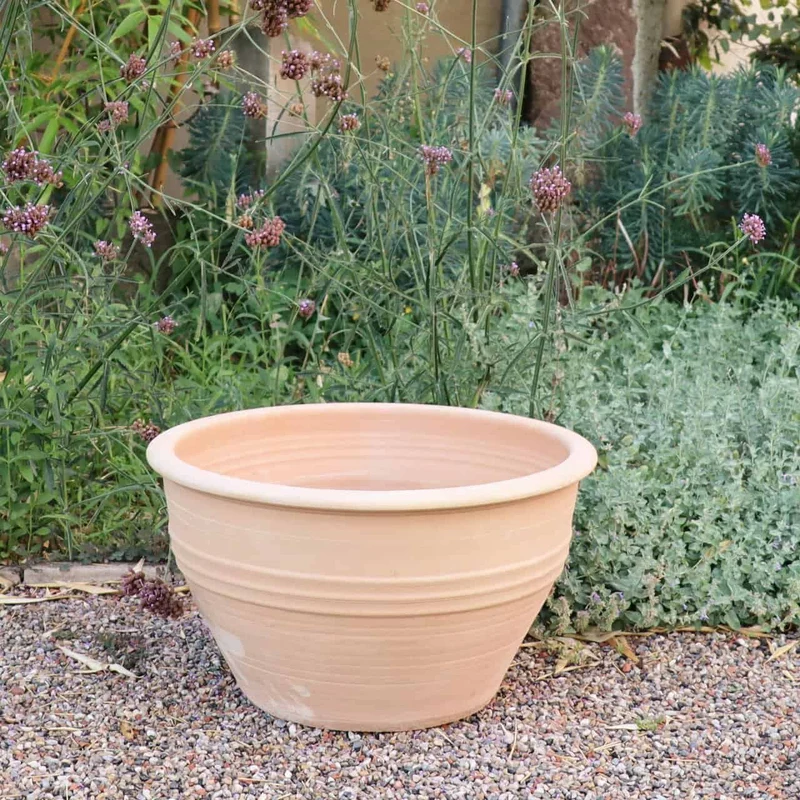 winterharte Pflanzschale "Veronica", D=55 cm