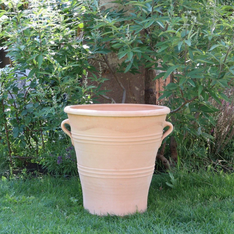 Blumentopf Gross "Salvia", H=50 cm